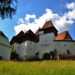 7-Day Private Tour of Transylvania from Bucharest - Why This Tour Offers Great Value