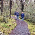 7-Day South Island Coastal Splendor Tour from Christchurch - What We Love About This Tour