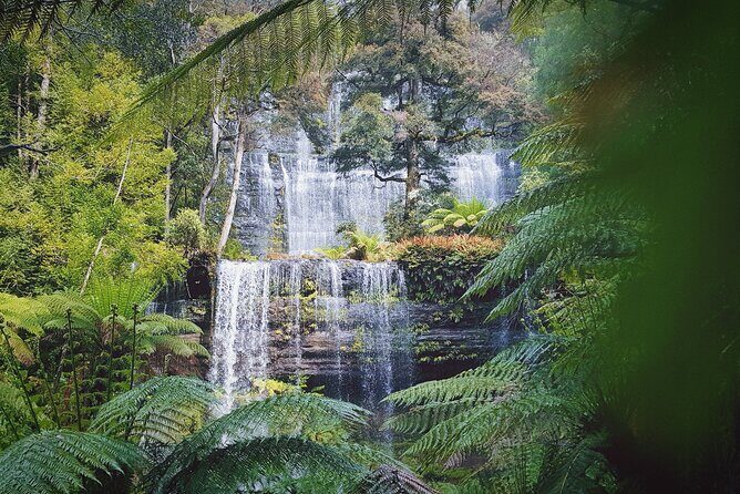 7-Day Super Value Tour of Tasmania: Explore Tasmania's West and East Coasts - Why This Tour Offers Exceptional Value