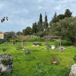 7 Hour Shared 4x4 Off Road Experience in Zakynthos - A Deep Dive into the 7-Hour Zakynthos Off-Road Experience