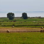 7-lake tour: nature & enjoyment on Usedom - Detailed Breakdown of the Itinerary