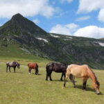 7 Rila lakes and Rila monastery day tour from Sofia - Why This Tour Works for Travelers