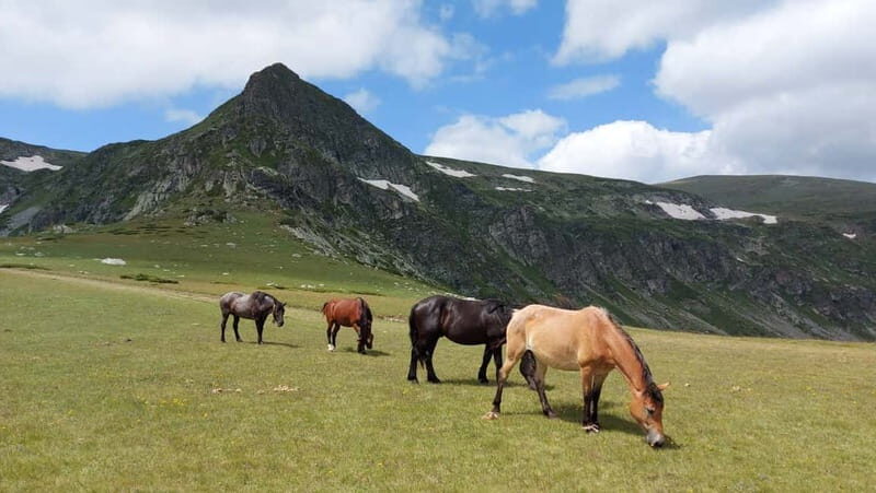 7 Rila lakes and Rila monastery day tour from Sofia - Why This Tour Works for Travelers