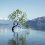 8 Day Southern Secrets Small Group Tour - Transport, Group Size, and Value