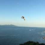 8-Hour Private Scenic Kapiti Coast Tour from Wellington - Why This Tour Works