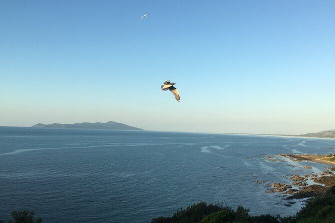 8-Hour Private Scenic Kapiti Coast Tour from Wellington - Why This Tour Works