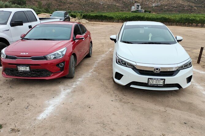 8 Hour Private Tour in the Guadalupe Valley 1-4 Passengers - Final Thoughts