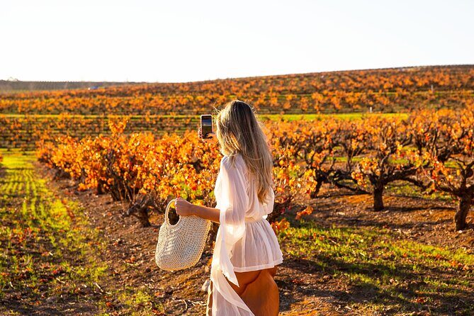 8 Hour Wine Tour and Tasting Experience at McLaren Vale - Exploring McLaren Vale: An Authentic Wine Journey
