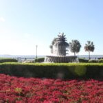 90-Minute Charleston City Sightseeing Bus Tour - Final Words: Is It Worth It?