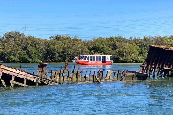 90 Minute Port River Dolphin & Ships Graveyard Cruise - An In-Depth Look at the 90-Minute Port River Dolphin & Ships Graveyard Cruise