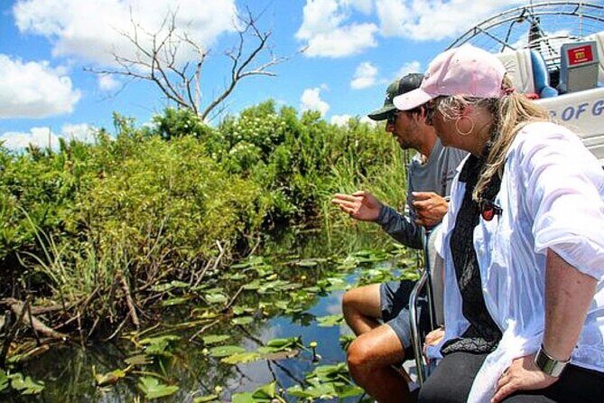 90 Minute Small Group Semi Private Airboat Tour - Exploring the Details of the Everglades Airboat Tour