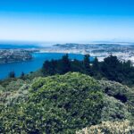 A 2 hour Small Group Dunedin City Highlights Tour - Breakdown of the Itinerary