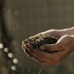 "A Day as a Farmer" Experience - Is This Tour Worth It? Analyzing the Value
