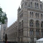 A Day at the Museum - Natural History Museum London - The Itinerary in Detail