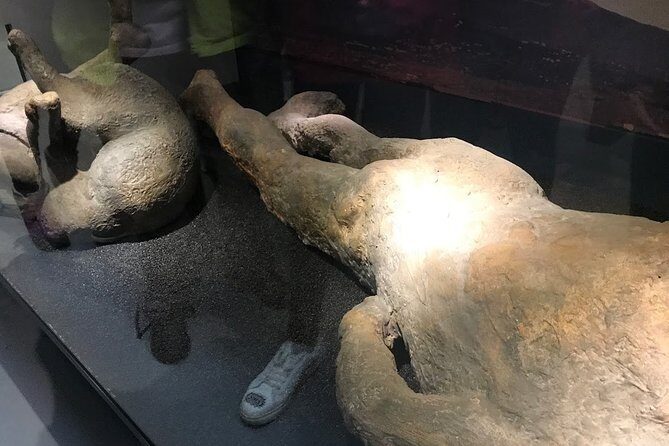A Day at the Museum - Natural History Museum London - FAQs About the Natural History Museum Guided Tour
