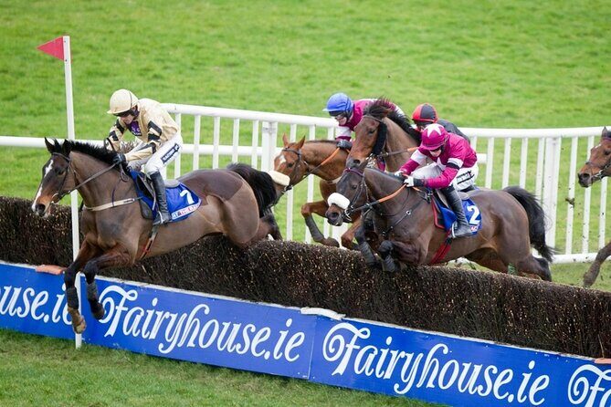 A Day At The Races & the Horse Lovers Tour - Who Will Love This Tour?