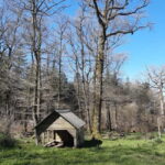 A Day Hike in Mervent Forest (Vendée) - Why This Tour Offers Value