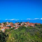 A day tour to Kakheti region/wine/culture/history and gastro tour - What Travelers Say: Authentic Feedback