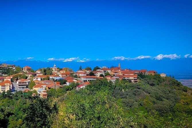 A day tour to Kakheti region/wine/culture/history and gastro tour - What Travelers Say: Authentic Feedback