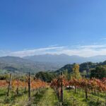 A day trip from Naples: Irpinia a Land of History & Wine - Transportation, Timing, and Group Size