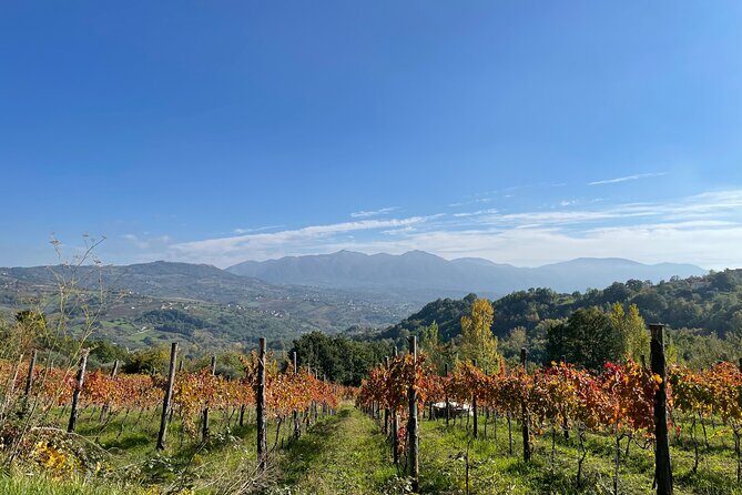 A day trip from Naples: Irpinia a Land of History & Wine - Transportation, Timing, and Group Size