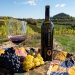A delightful wine tasting in the scenic countryside with lunch - Who should consider this tour?
