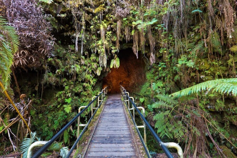 A Guided Hike Adventure: Kilauea Iki Crater and a Lava Tube - Who Should Consider This Tour?
