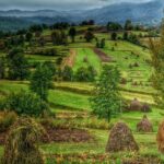A Journey Back in Time: Countryside from Transylvania and Maramures - 15 Days - Practical Details & Value