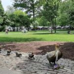A Journey Through Time: a walking/driving tour of Boston - Why This Tour Works Well