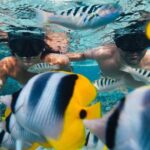 A private tour with Blue Lagoon - Exploring Raiatea and Taha’a: The Itinerary in Detail
