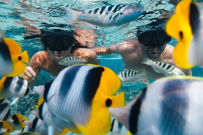 A private tour with Blue Lagoon - Exploring Raiatea and Taha’a: The Itinerary in Detail
