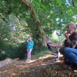 A Tour of Glastonbury - Guided by the Trees - Authentic Experiences and Practicalities