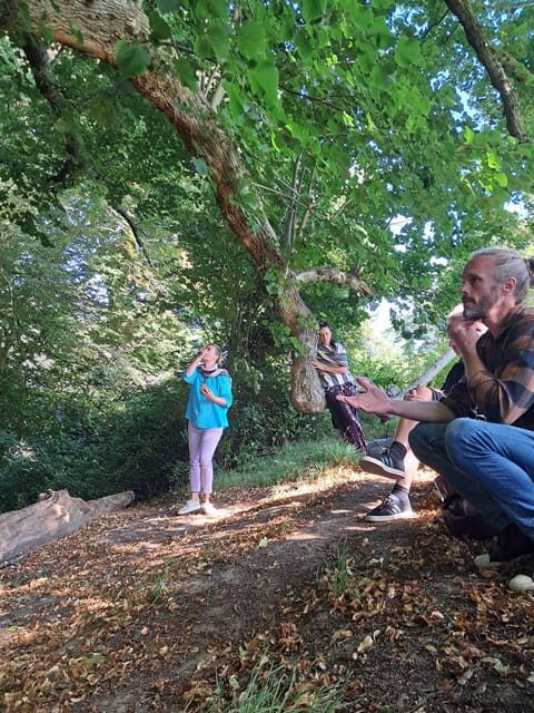 A Tour of Glastonbury - Guided by the Trees - Authentic Experiences and Practicalities