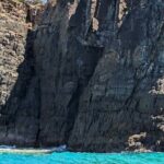 AAA Noosa National Park Tour and Dolphin Safari Whalesongsnoosa - Who Should Consider This Tour?
