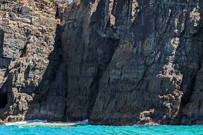 AAA Noosa National Park Tour and Dolphin Safari Whalesongsnoosa - Who Should Consider This Tour?