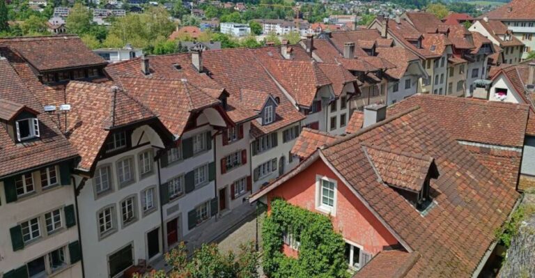 Aarau: Private Walking Tour with a Local Guide - Practical Details and Value