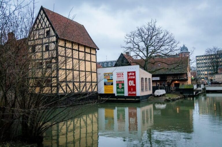 Aarhus Walking Tour: From Viking Village to Metropolis - Who Will Love This Tour?