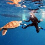 Abades: Tenerife Turtles and Rays Snorkeling Trip - The Experience Itself: What You Can Expect