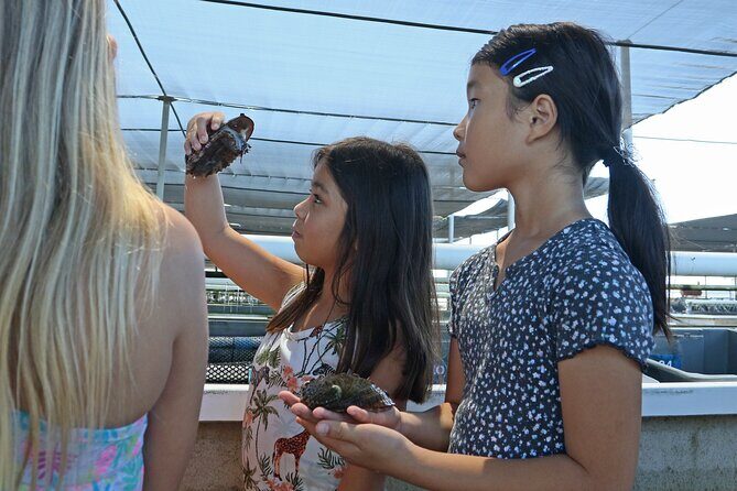 Abalone Farm Tour - The Value of the Experience