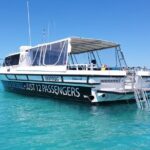 ABC Snorkel Charters Port Douglas Snorkelling max 12 passengers - A Deep Dive into the Experience