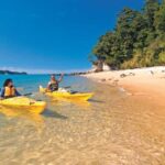 Abel Tasman Kayaks: 3 Day Kayak and Walk North - Day Two: Exploring Marine and Coastal Highlights