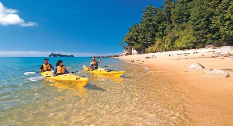 Abel Tasman Kayaks: 3 Day Kayak and Walk North - Day Two: Exploring Marine and Coastal Highlights
