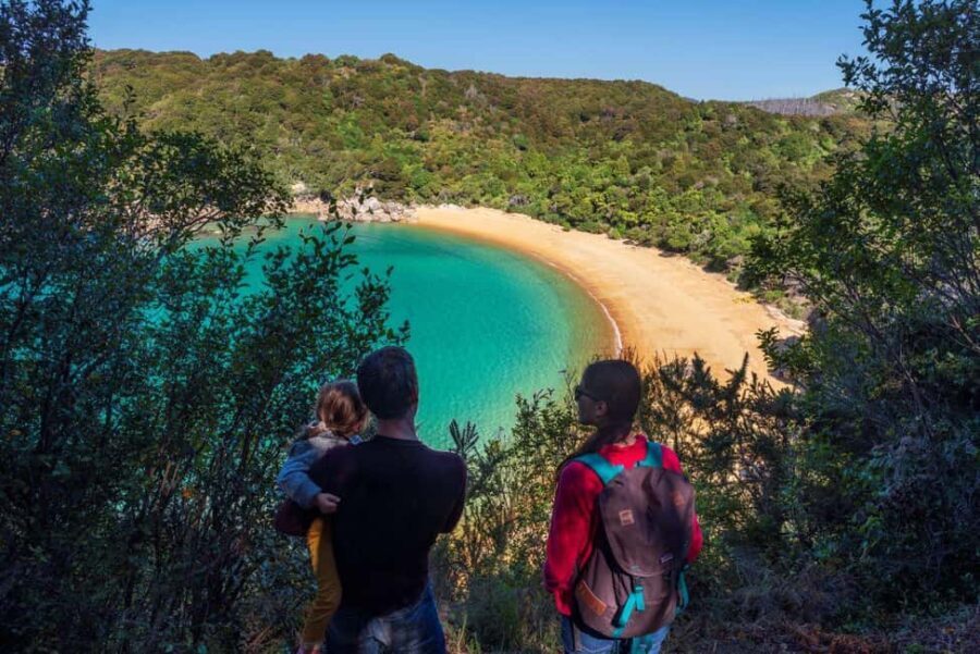 Abel Tasman National Park: Cruise and Hike Full-Day Tour - Practical Details and What to Expect