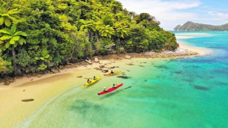 Abel Tasman National Park: Cruise, Kayak, & Hike Tour - An Engaging Day in Abel Tasman National Park