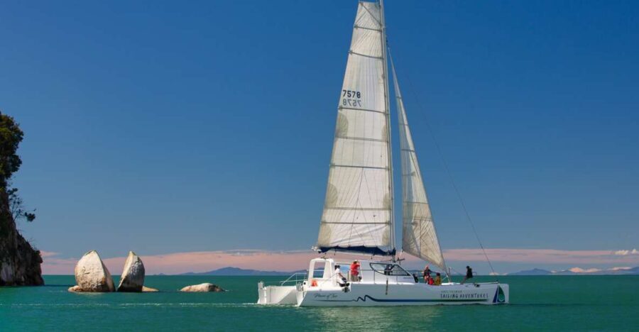 Abel Tasman National Park: Day Sailing Adventure with Lunch - What the Reviews Say