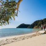 Abel Tasman National Park: Helicopter Flight with landing - An In-Depth Look at the Abel Tasman Helicopter Tour
