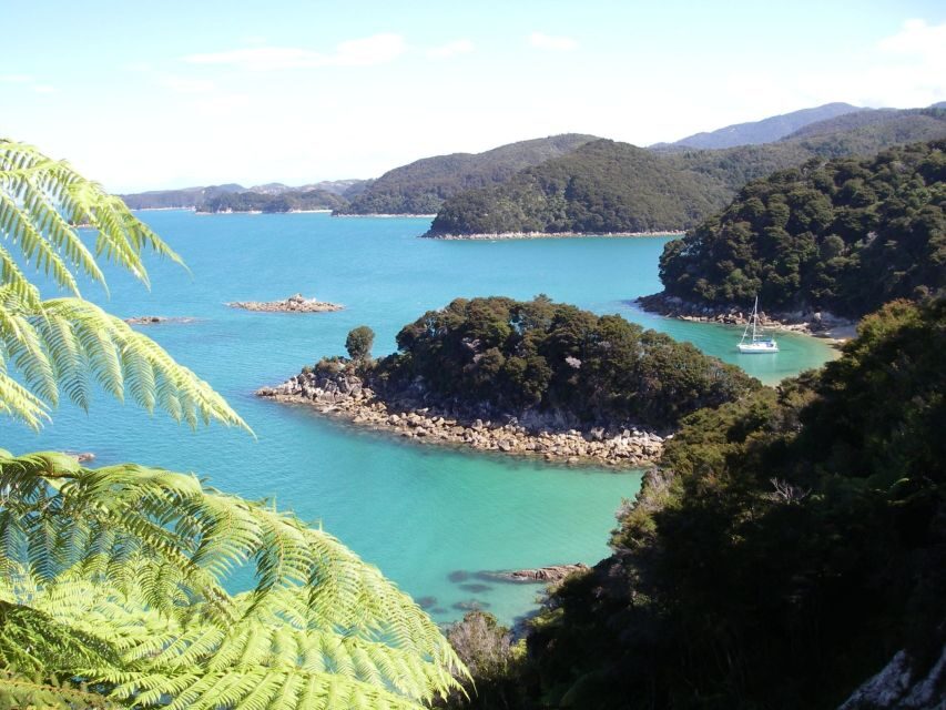 Abel Tasman National Park: Sailing and Self-Guided Walk - Who Will Enjoy This Tour?