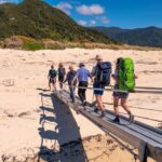 Abel Tasman: Sea Shuttle Cruise and Walking Tour Combo - Who Would Love This Tour?