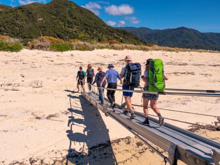Abel Tasman: Sea Shuttle Cruise and Walking Tour Combo - Who Would Love This Tour?