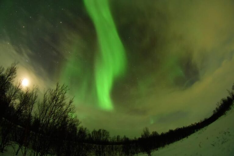 Abisko: Aurora Chasing with Snowmobiles - Final Thoughts